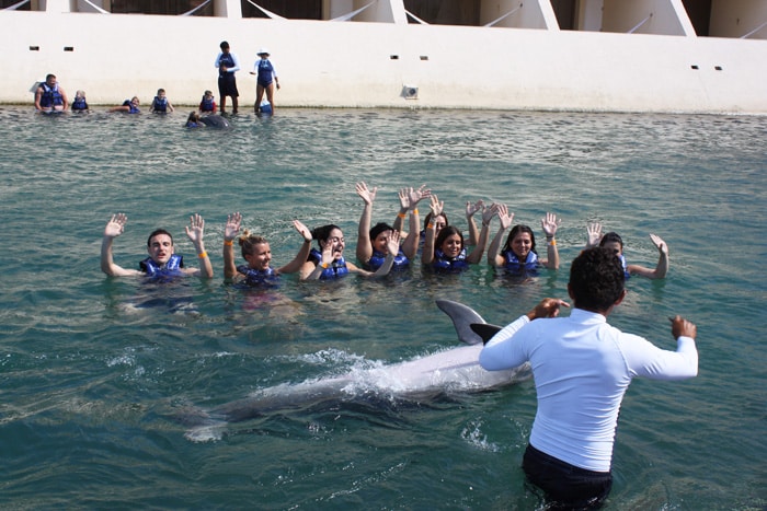 Nager avec les dauphins reste toujours un moment inoubliable !