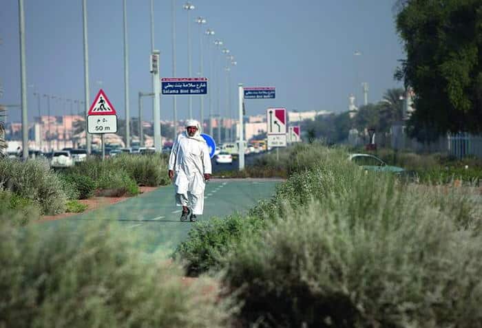 Partout les rues sont bordées d'arbres ou de palmiers. Contrairement à Dubaï, Abu Dhabi bien plus riche que Dubaï peut se le permettre même si un arbre revient 2500 $ d'entretien / an !