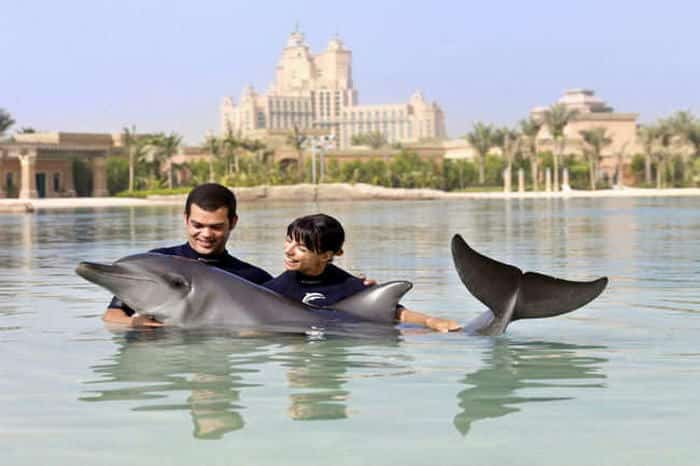 Le Dolphin Bay permet de nager avec les dauphins.