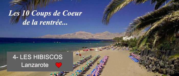 los-hibiscos-une