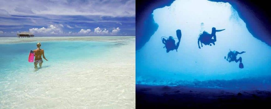 Nouveauté : Les Infos Snorkeling et Plongée