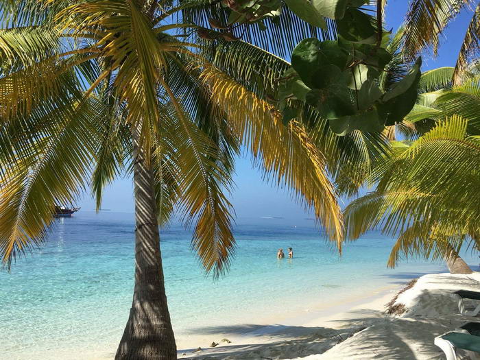 Plage et cocotier au Meerufenfushi