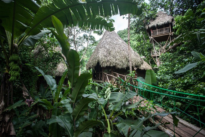 Dominican Tree House Village
