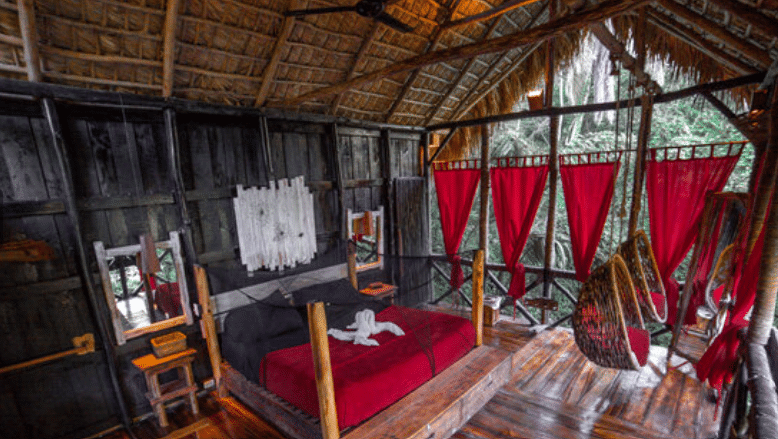 Chambre du Domincian Tree House Village