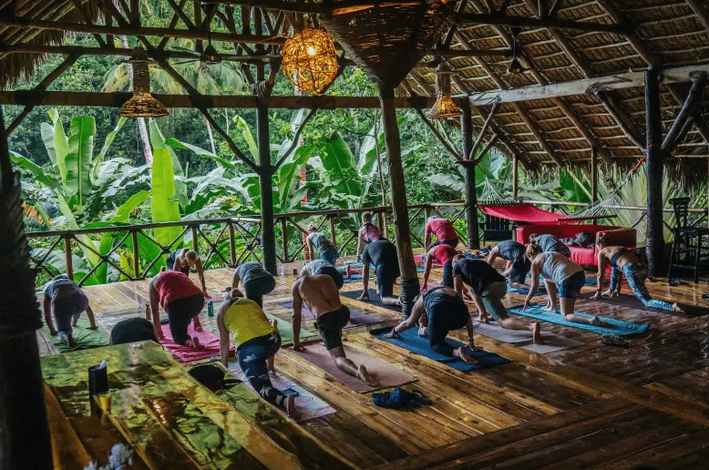 Cours et retraite de Yoga au Dominican Tree House Village 