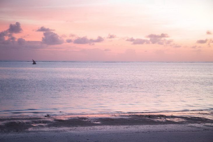 Guide de voyage Zanzibar : que voir, que faire et conseils pratiques