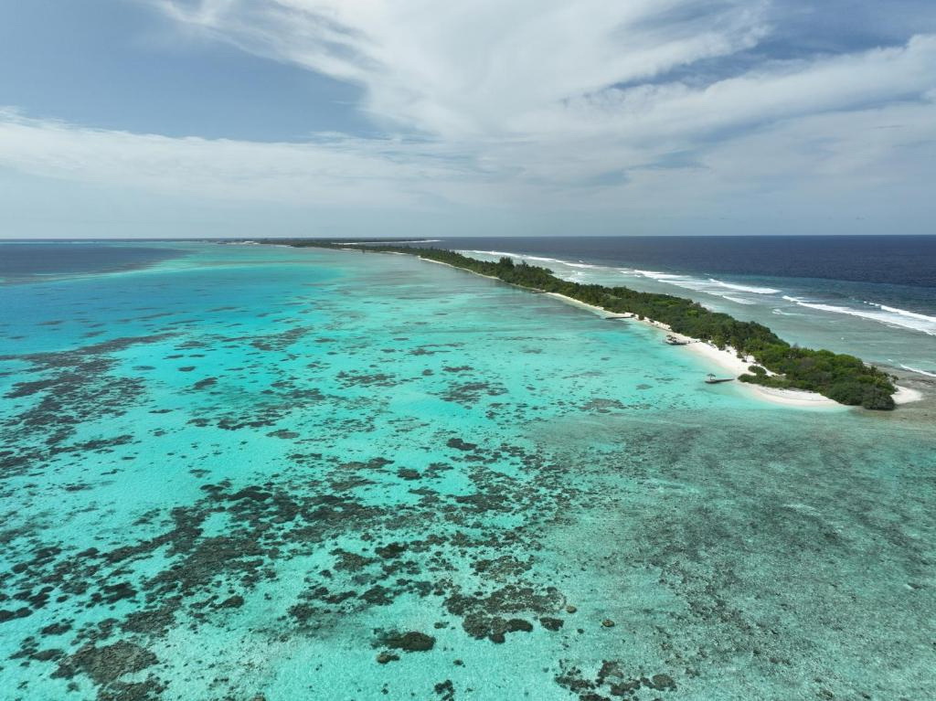 CANAREEF RESORT MALDIVES 4*