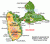Carte de localisation