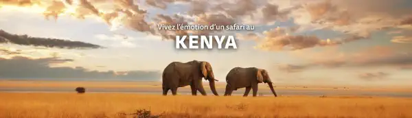 Vivez l&rsquo;&eacute;motion d&rsquo;un Safari au Kenya