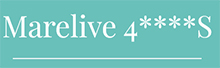 Logo H&ocirc;tel