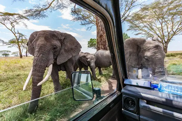 Tanzanie