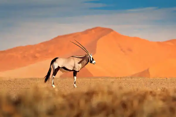 Namibie