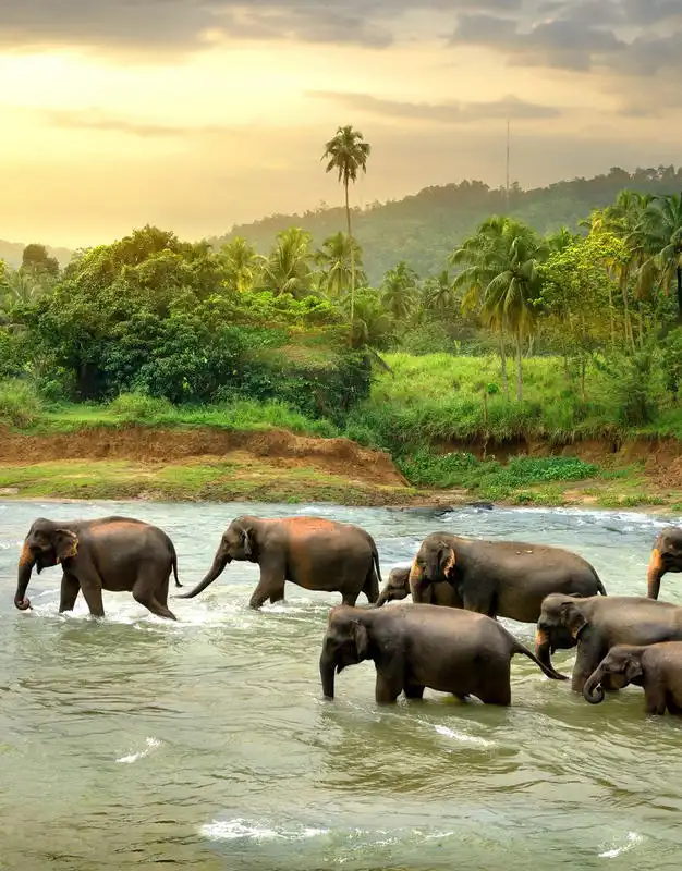Sri Lanka