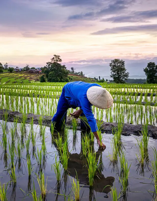 Vietnam